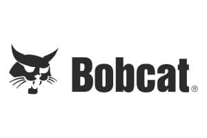 Bobcat