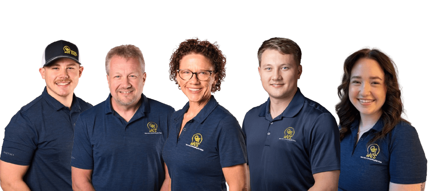 The WCS team